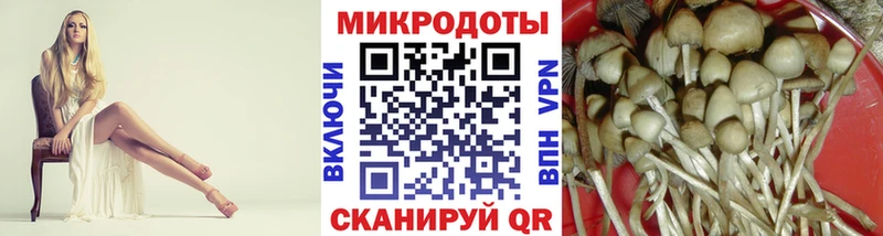 Галлюциногенные грибы прущие грибы  закладки  Чехов 